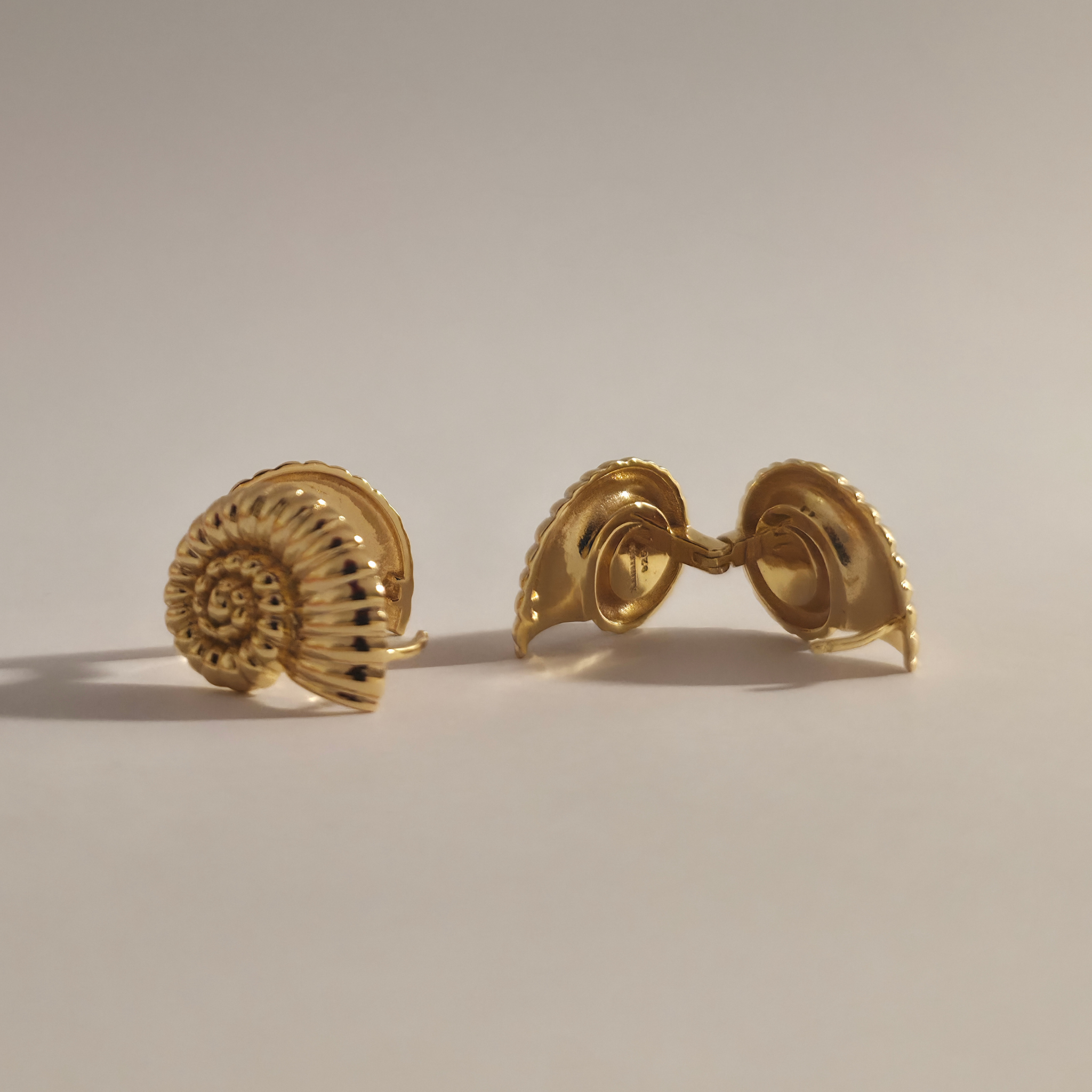 Nautilus Shell Earring Gold