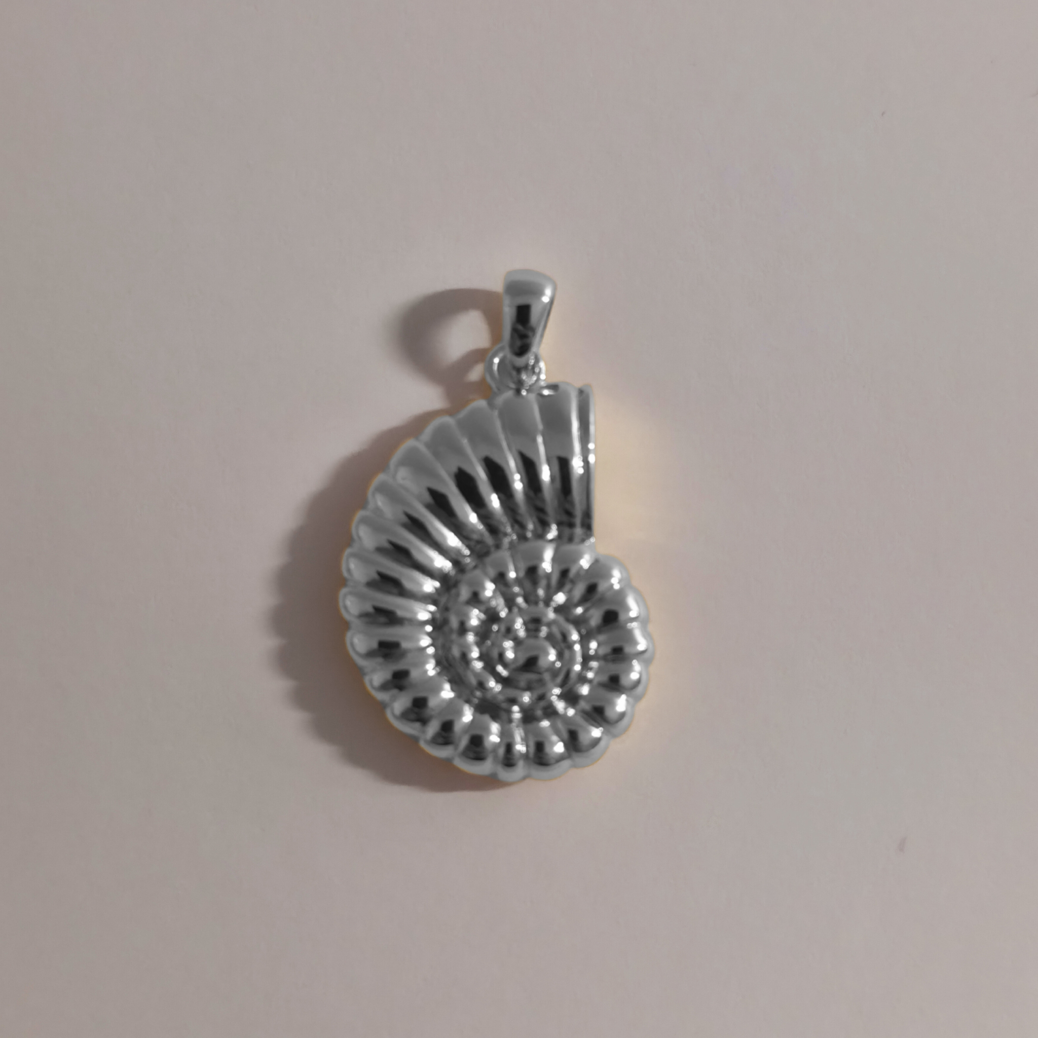 Nautilus Shell Pendant Silver